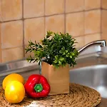 Lotos Appartement
